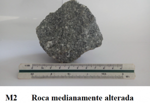 roca_media